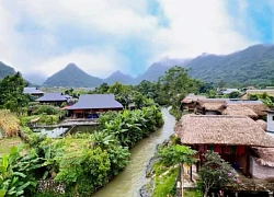 Mùa xanh ở thung lũng Lâm Thượng
