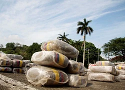 Panama: Thu giữ lượng lớn ma túy chuyển đến Nam Phi