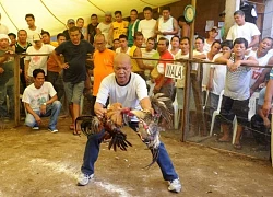 Philippines điều tra 15 cảnh sát liên quan nghi án sát hại 34 người đá gà