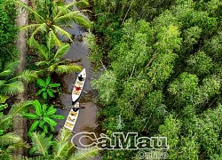 Sinh kế trên đất rừng U Minh Hạ