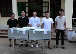 Số lượng khủng hơn 2,3 tạ kim loại quý giấu chỗ hiểm trên xe chở nông sản