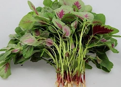 Tác dụng ít người biết của rau dền
