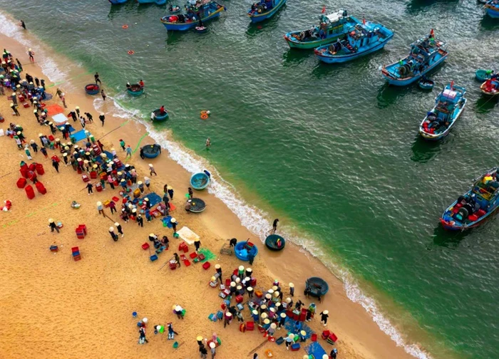 Thăm chợ cá Nhân Trạch lúc bình minh