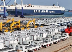 Thuế quan của Mỹ: IMF theo dõi sát diễn biến, cảnh báo bất ổn kinh tế toàn cầu
