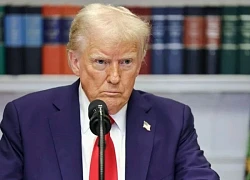 Tổng thống Donald Trump tuyên bố áp thuế 50% đối với đồng nhập khẩu