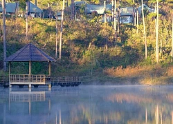 Vào rừng nghe 'sứ giả thời tiền sử' kể chuyện