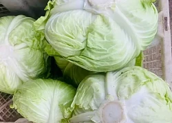 Bổ sung 1,5 chén rau xanh mỗi ngày: Chìa khóa giảm nguy cơ bệnh tim ở người lớn tuổi