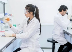 Các nhà khoa học Nga thử nghiệm biến tảo biển thành pin