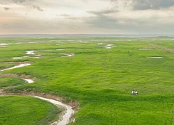 Cuối tuần, đến hồ Trị An ngắm thảo nguyên xanh mướt tuyệt đẹp mùa nước cạn