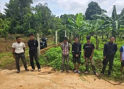 Cướp điện thoại bán lấy tiền mua bia ăn nhậu