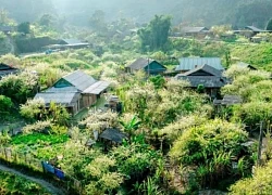Đánh thức điểm du lịch cộng đồng giữa đại ngàn Trường Sơn