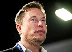 Đế chế của tỷ phú Elon Musk gặp hoạ do chính ông gây ra