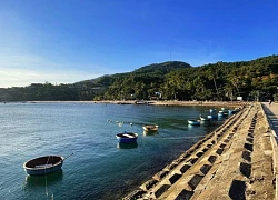 Đến Cù Lao Chàm, khám phá di tích miếu tổ nghề yến hơn 170 năm tuổi