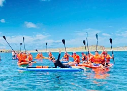 Du lịch "chữa lành" ở Đặc khu Phú Quý