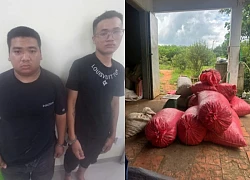 Hai "đạo chích" đột nhập kho trộm hơn 4 tấn hạt điều