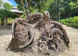 Lạc vào cảnh quan thiên nhiên tuyệt vời tại suối Tranh trên đảo ngọc Phú Quốc