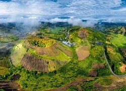 Lâm Đồng đẩy mạnh quảng bá, thu hút khách du lịch