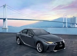 Lexus IS 2021 Luxury nhập khẩu hãng giá 2,49 tỷ đồng