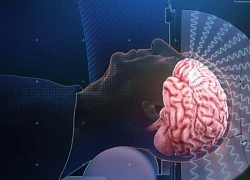 Liệu não người có thể cạn kiệt bộ nhớ?