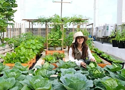 Mê mẩn khu vườn sân thượng đẹp 'như vẽ bằng AI' của mẹ đảm Đà Nẵng