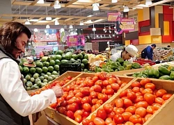 Mexico phản ứng khi Mỹ áp thuế chống bán phá giá với cà chua