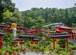 Ngôi chùa ở Ninh Bình cảnh đẹp như tranh vẽ, du khách mê mẩn dừng chân chụp ảnh