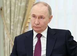 Ông Putin tiết lộ lý do từng từ chối đề nghị làm tổng thống
