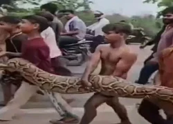 Rùng mình cảnh nhóm trẻ chơi đùa với con trăn dài 4,5m