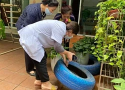 Sốt xuất huyết gia tăng tại Hà Nội, 4 ổ dịch mới bùng phát trong một tuần