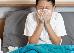 Sự khác nhau giữa cúm A và cúm B
