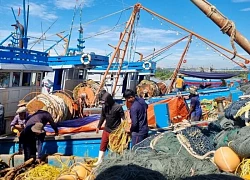 Thái Lan cân nhắc thực hiện một loạt biện pháp tạo thuận lợi cho đàm phán thuế quan với Mỹ
