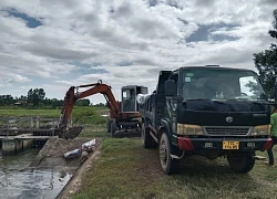 Thu gom xác heo chết bốc mùi hôi thối, chính quyền gửi thư xin lỗi người dân