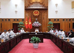 Thường trực Chính phủ bàn làm luật phòng chống ma túy, ngăn chặn hàng giả