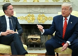Tổng thống Trump gặp Tổng thư ký NATO và câu chuyện chuyển vũ khí cho Ukraine