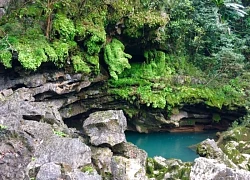 Phong Nha - Kẻ Bàng trở thành Di sản Thiên nhiên liên biên giới