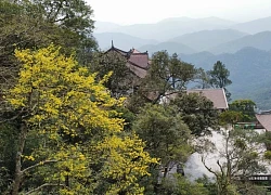 Yên Tử - miền di sản huyền bí