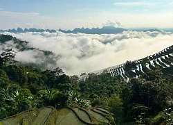 Bình minh trên ruộng bậc thang Khuổi My mùa lúa xanh