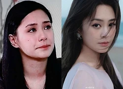 Chung Hân Đồng: Từ "mỹ nhân không ai dám cưới" đến quý cô độc thân giàu có