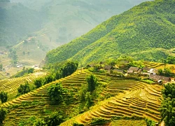 Di sản văn hóa Lào Cai: "Mỏ vàng" phát triển du lịch
