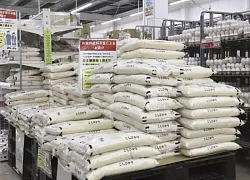 Giá gạo Nhật Bản lại 'phi mã' - Tốc độ tăng CPI lần đầu chậm lại sau 4 tháng