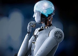 Google: Các mô hình AI mất tự tin và bẻ cong sự thật dưới áp lực