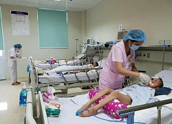 Hà Nội, TPHCM ghi nhận bệnh viêm não Nhật Bản, có thể lây qua muỗi đốt