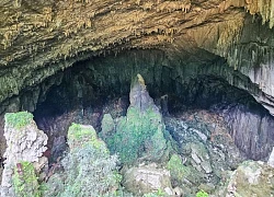 Khám phá hang Dơi giữa đại ngàn Pù Luông