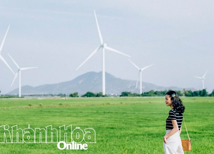 Lãng du trên miền đất nắng