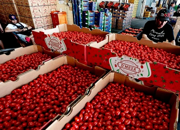 Mỹ giáng đòn mới lên Mexico, EU chuẩn bị đáp trả