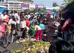 Xe tải chở xoài bị lật đổ, người dân mang túi, bao tải nhặt mang về