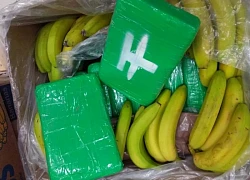 Nga thu giữ lượng cocaine lớn giấu trong container chuối