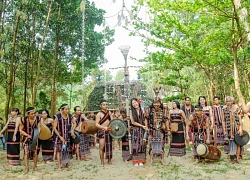 Người Cơ Tu làm du lịch sinh thái