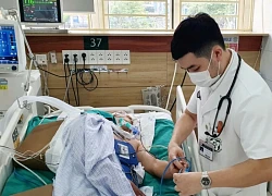 Nguy kịch vì tin thầy lang chữa rắn độc cắn