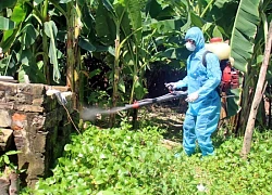Quảng Ninh ghi nhận ca viêm não Nhật Bản đầu tiên trong năm